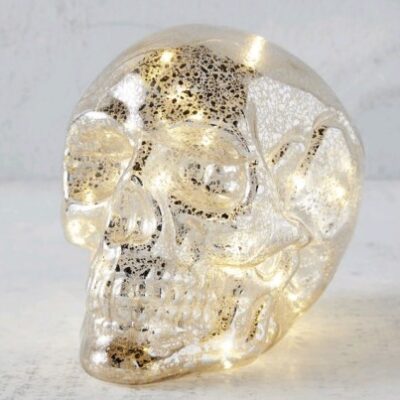 Skull 2